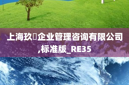 上海玖玏企业管理咨询有限公司,标准版_RE35