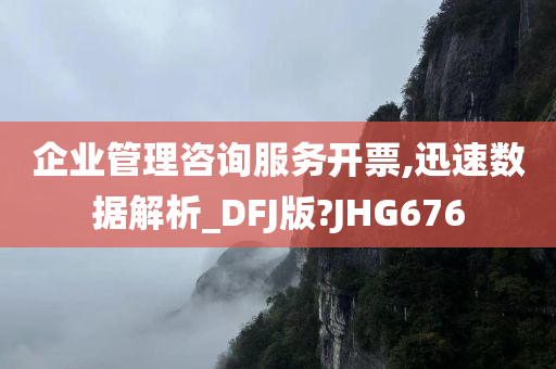 企业管理咨询服务开票,迅速数据解析_DFJ版?JHG676