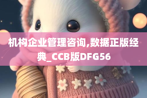 机构企业管理咨询,数据正版经典_CCB版DFG56