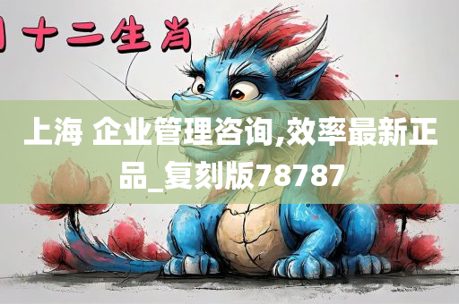 上海 企业管理咨询,效率最新正品_复刻版78787