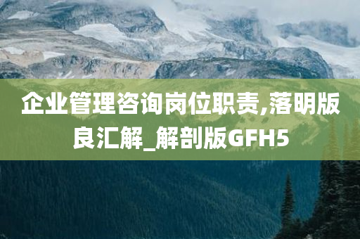 企业管理咨询岗位职责,落明版良汇解_解剖版GFH5