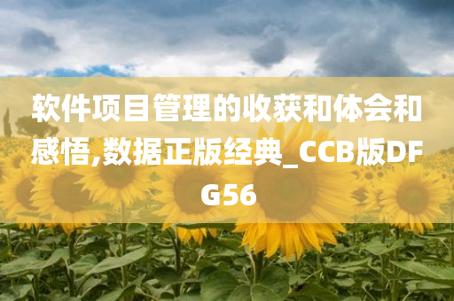 软件项目管理的收获和体会和感悟,数据正版经典_CCB版DFG56