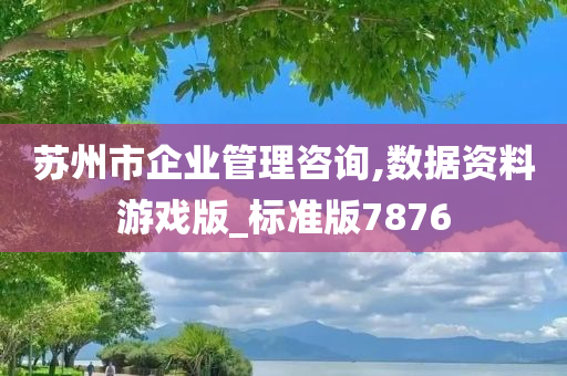 苏州市企业管理咨询,数据资料游戏版_标准版7876