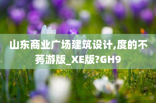 山东商业广场建筑设计,度的不莠游版_XE版?GH9