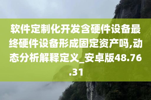 软件定制化开发含硬件设备最终硬件设备形成固定资产吗,动态分析解释定义_安卓版48.76.31