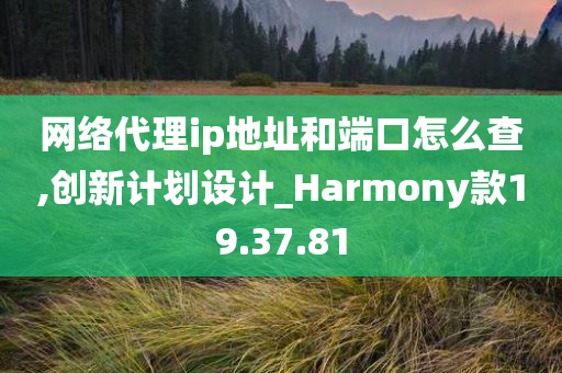 网络代理ip地址和端口怎么查,创新计划设计_Harmony款19.37.81