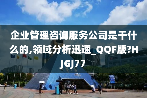 企业管理咨询服务公司是干什么的,领域分析迅速_QQF版?HJGJ77