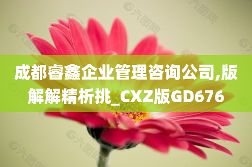 成都睿鑫企业管理咨询公司,版解解精析挑_CXZ版GD676