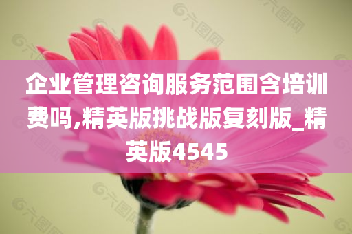 企业管理 咨询服务