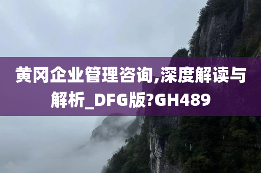 黄冈企业管理咨询,深度解读与解析_DFG版?GH489