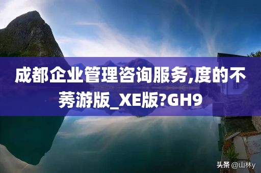 成都企业管理咨询服务,度的不莠游版_XE版?GH9