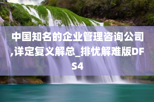 中国知名的企业管理咨询公司,详定复义解总_排忧解难版DFS4