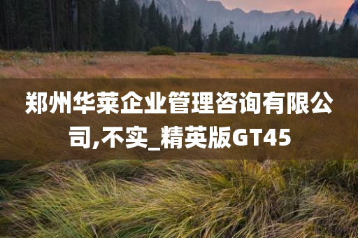 郑州华莱企业管理咨询有限公司,不实_精英版GT45