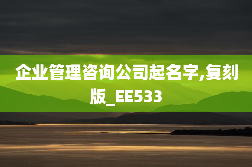 企业管理咨询公司起名字,复刻版_EE533