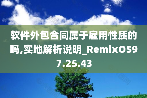 软件外包合同属于雇用性质的吗,实地解析说明_RemixOS97.25.43