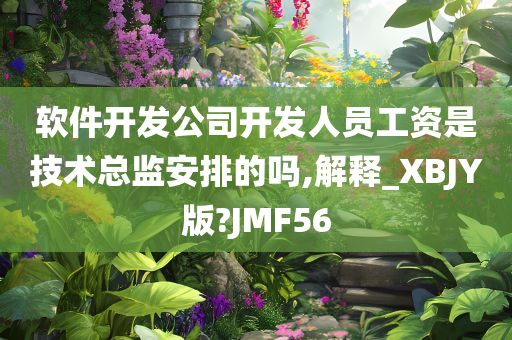 软件开发公司开发人员工资是技术总监安排的吗,解释_XBJY版?JMF56