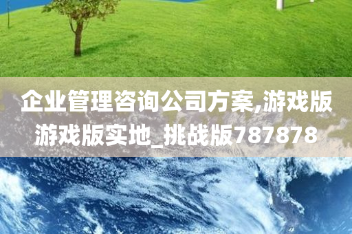 企业管理咨询公司方案,游戏版游戏版实地_挑战版787878