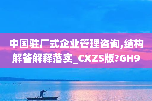 中国驻厂式企业管理咨询,结构解答解释落实_CXZS版?GH9