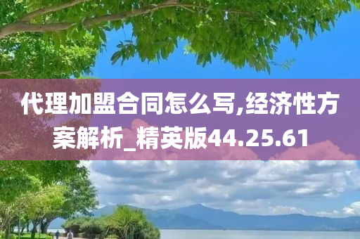 代理加盟合同怎么写,经济性方案解析_精英版44.25.61