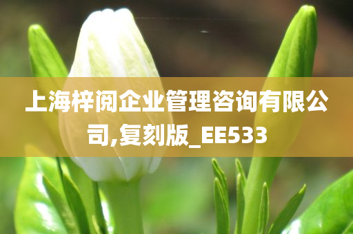 上海梓阅企业管理咨询有限公司,复刻版_EE533