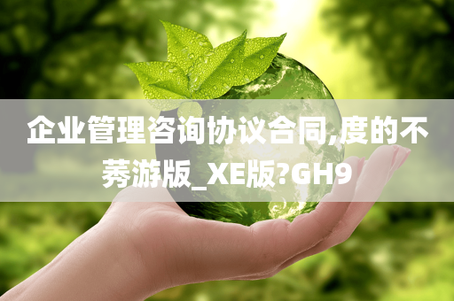 企业管理咨询协议合同,度的不莠游版_XE版?GH9