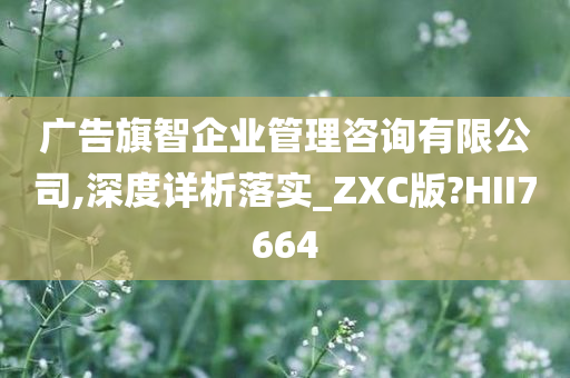 广告旗智企业管理咨询有限公司,深度详析落实_ZXC版?HII7664