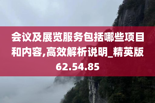 会议及展览服务包括哪些项目和内容,高效解析说明_精英版62.54.85