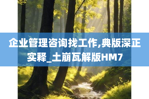 企业管理咨询找工作,典版深正实释_土崩瓦解版HM7