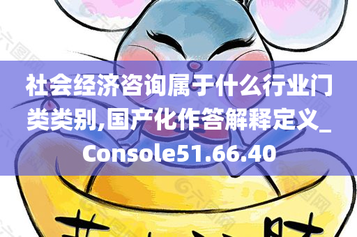 社会经济咨询属于什么行业门类类别,国产化作答解释定义_Console51.66.40