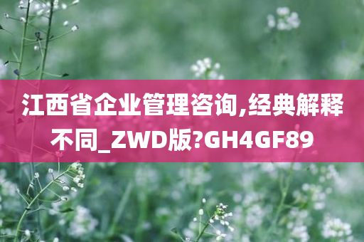 江西省企业管理咨询,经典解释不同_ZWD版?GH4GF89