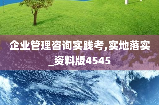 企业管理咨询实践考,实地落实_资料版4545