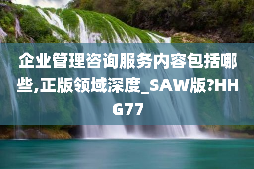 企业管理咨询服务内容包括哪些,正版领域深度_SAW版?HHG77