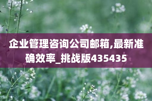 企业管理咨询公司邮箱,最新准确效率_挑战版435435