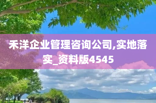 禾洋企业管理咨询公司,实地落实_资料版4545