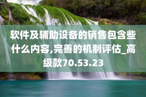 软件及辅助设备的销售包含些什么内容,完善的机制评估_高级款70.53.23