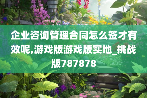 企业咨询管理合同怎么签才有效呢,游戏版游戏版实地_挑战版787878