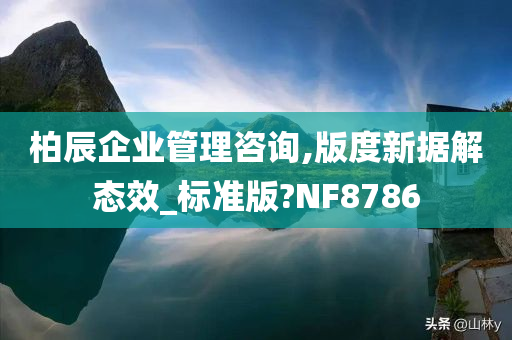 柏辰企业管理咨询,版度新据解态效_标准版?NF8786