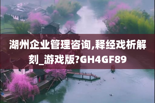 湖州企业管理咨询,释经戏析解刻_游戏版?GH4GF89