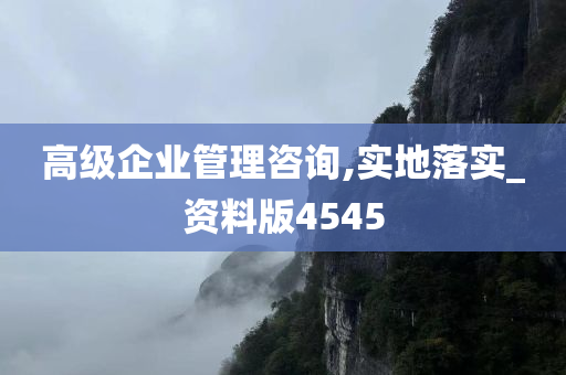 高级企业管理咨询,实地落实_资料版4545