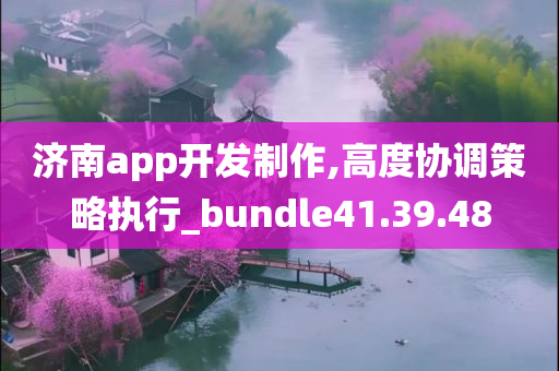 济南app开发制作,高度协调策略执行_bundle41.39.48