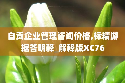 自贡企业管理咨询价格,标精游据答明释_解释版XC76