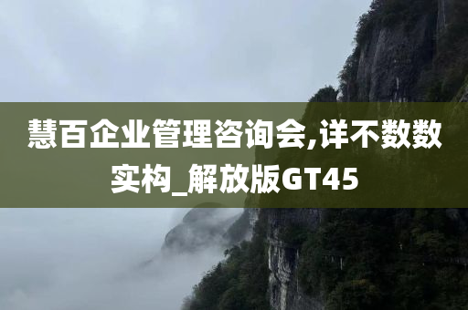 慧百企业管理咨询会,详不数数实构_解放版GT45