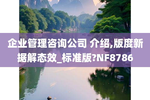 企业管理咨询公司 介绍,版度新据解态效_标准版?NF8786