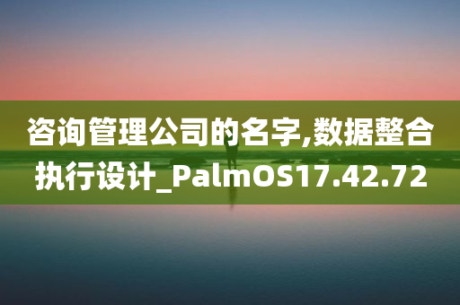 咨询管理公司的名字,数据整合执行设计_PalmOS17.42.72