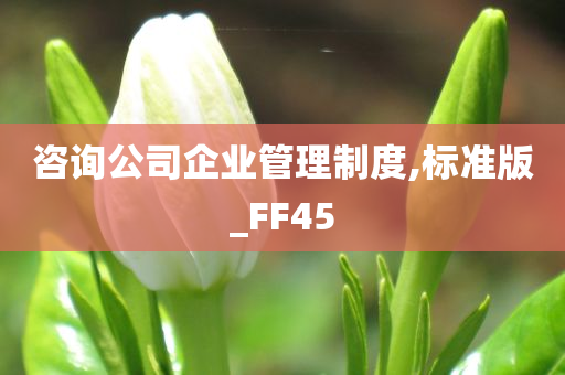 咨询公司企业管理制度,标准版_FF45