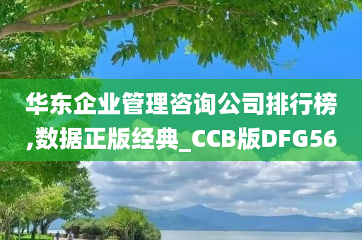 华东企业管理咨询公司排行榜,数据正版经典_CCB版DFG56