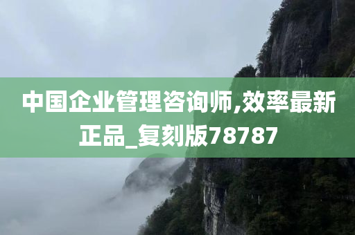 中国企业管理咨询师,效率最新正品_复刻版78787