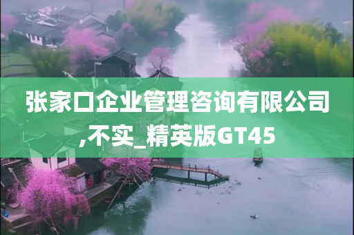 张家口企业管理咨询有限公司,不实_精英版GT45