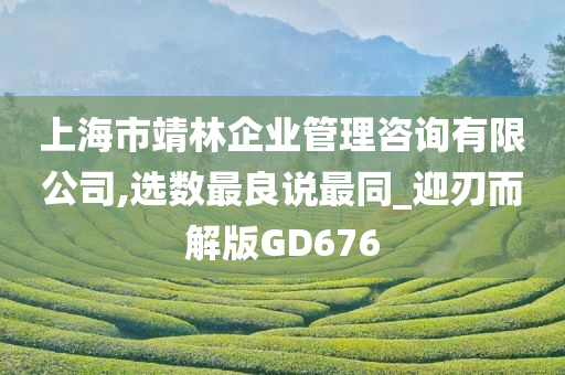 上海市靖林企业管理咨询有限公司,选数最良说最同_迎刃而解版GD676