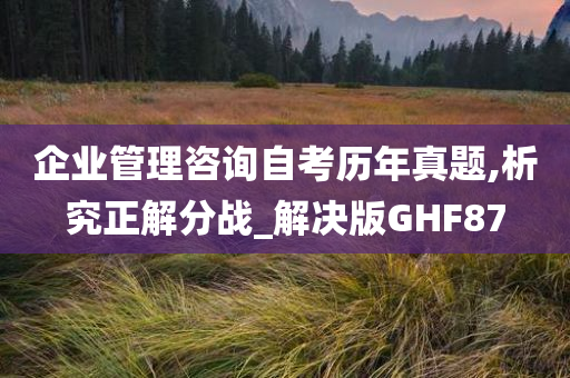 企业管理咨询自考历年真题,析究正解分战_解决版GHF87